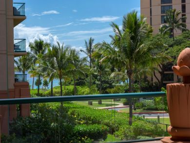 Kaanapali  Maui Condo 895909